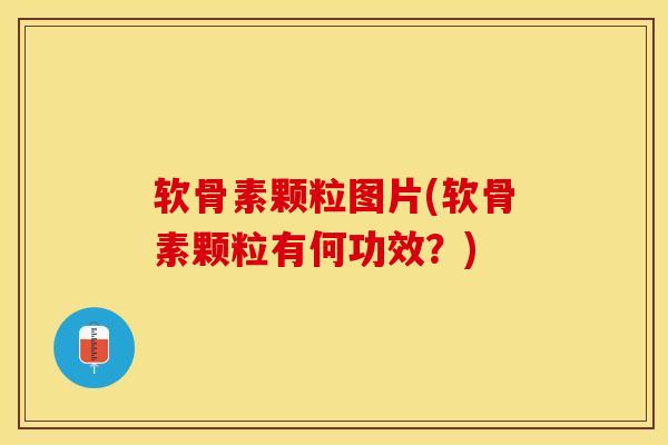 软骨素颗粒图片(软骨素颗粒有何功效？)