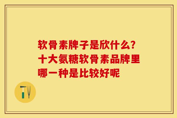 软骨素牌子是欣什么？十大氨糖软骨素品牌里哪一种是比较好呢