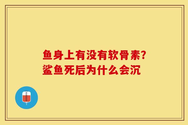 鱼身上有没有软骨素？鲨鱼死后为什么会沉