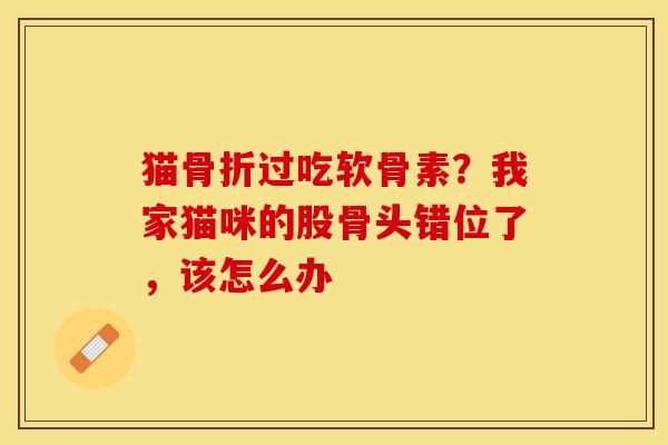 猫骨折过吃软骨素？我家猫咪的股骨头错位了，该怎么办
