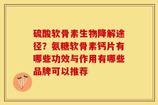 硫酸软骨素生物降解途径？氨糖软骨素钙片有哪些功效与作用有哪些品牌可以推荐