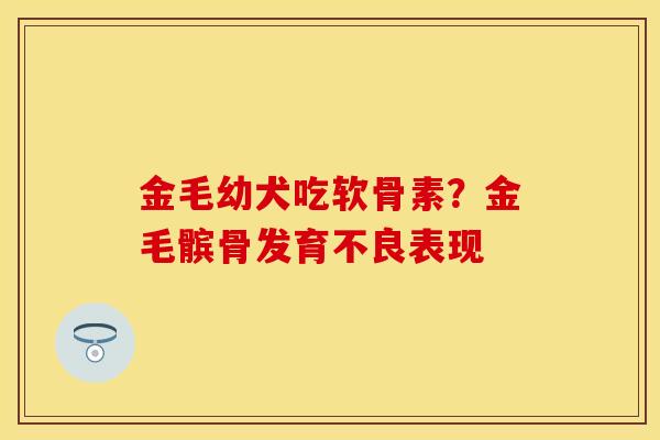 金毛幼犬吃软骨素？金毛髌骨发育不良表现