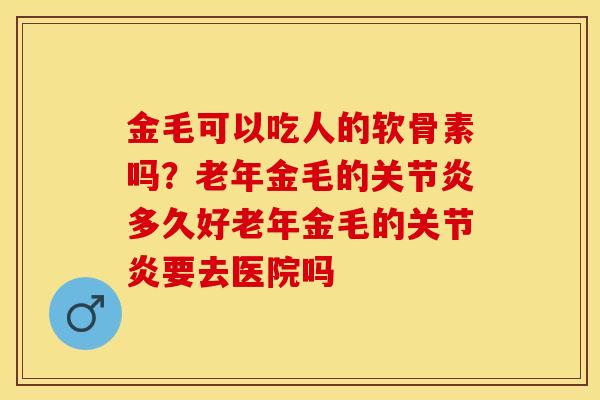金毛可以吃人的软骨素吗？老年金毛的关节炎多久好老年金毛的关节炎要去医院吗