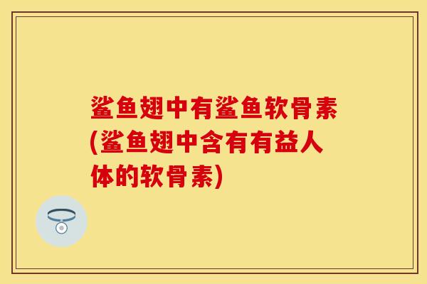 鲨鱼翅中有鲨鱼软骨素(鲨鱼翅中含有有益人体的软骨素)