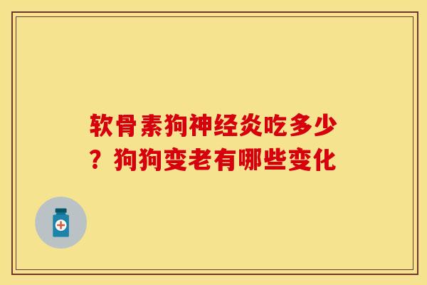 软骨素狗神经炎吃多少？狗狗变老有哪些变化