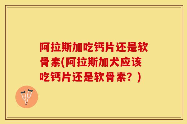 阿拉斯加吃钙片还是软骨素(阿拉斯加犬应该吃钙片还是软骨素？)-第1张图片-关节保镖