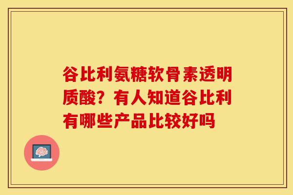 谷比利氨糖软骨素透明质酸？有人知道谷比利有哪些产品比较好吗