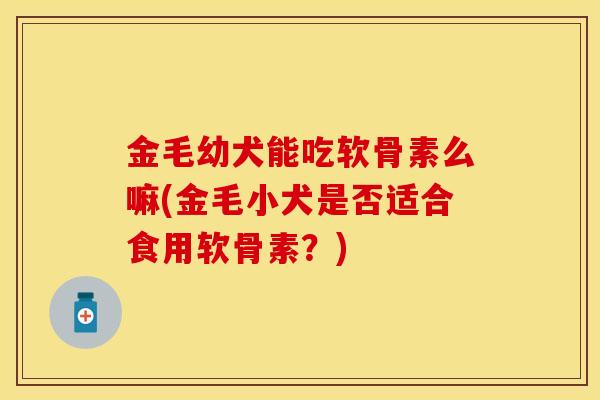 金毛幼犬能吃软骨素么嘛(金毛小犬是否适合食用软骨素？)