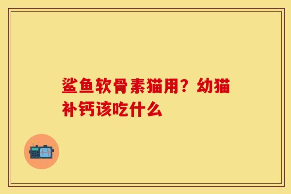 鲨鱼软骨素猫用？幼猫补钙该吃什么