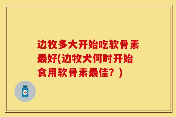 边牧多大开始吃软骨素最好(边牧犬何时开始食用软骨素最佳？)