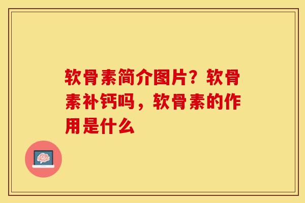 软骨素简介图片？软骨素补钙吗，软骨素的作用是什么