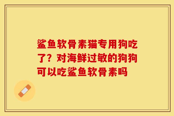 鲨鱼软骨素猫专用狗吃了？对海鲜过敏的狗狗可以吃鲨鱼软骨素吗