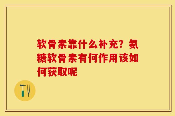 软骨素靠什么补充？氨糖软骨素有何作用该如何获取呢