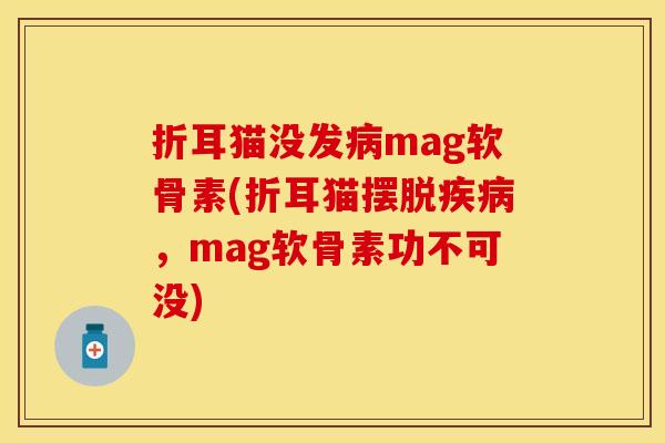 折耳猫没发病mag软骨素(折耳猫摆脱疾病，mag软骨素功不可没)