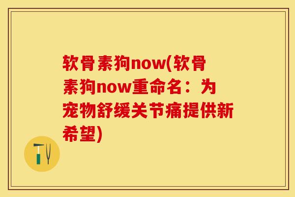 软骨素狗now(软骨素狗now重命名：为宠物舒缓关节痛提供新希望)