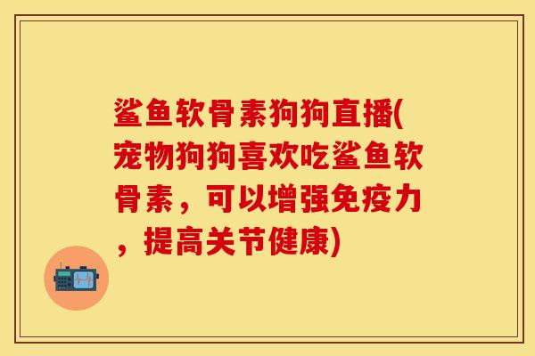 鲨鱼软骨素狗狗直播(宠物狗狗喜欢吃鲨鱼软骨素，可以增强免疫力，提高关节健康)