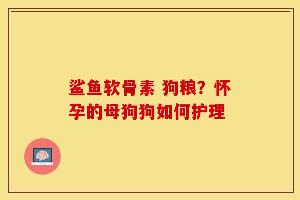 鲨鱼软骨素 狗粮？怀孕的母狗狗如何护理