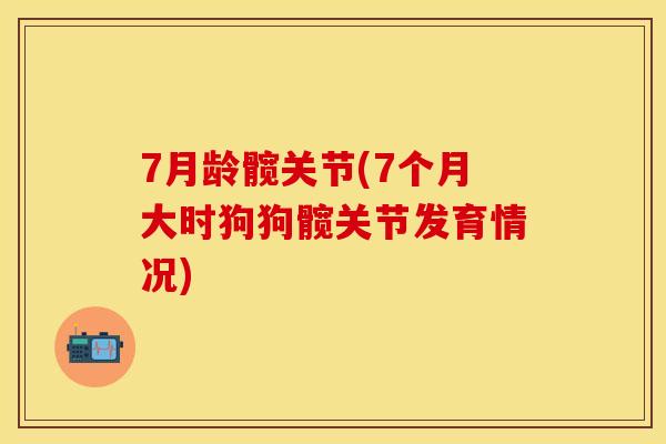 7月龄髋关节(7个月大时狗狗髋关节发育情况)