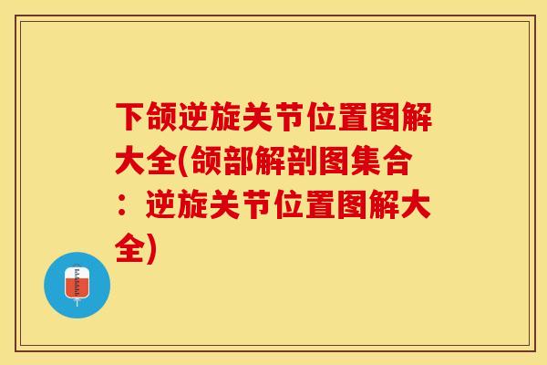 下颌逆旋关节位置图解大全(颌部解剖图集合：逆旋关节位置图解大全)