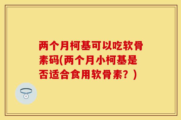两个月柯基可以吃软骨素码(两个月小柯基是否适合食用软骨素？)