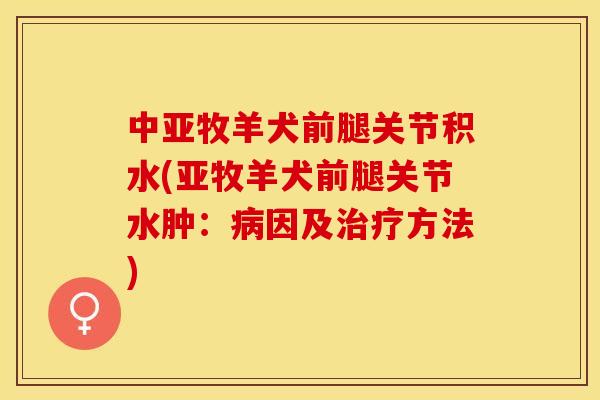中亚牧羊犬前腿关节积水(亚牧羊犬前腿关节水肿：病因及治疗方法)
