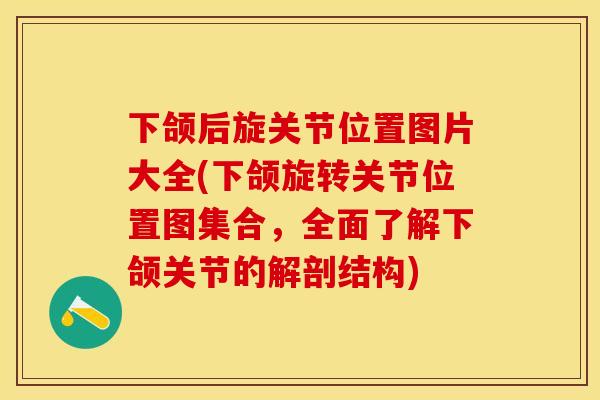 下颌后旋关节位置图片大全(下颌旋转关节位置图集合，全面了解下颌关节的解剖结构)