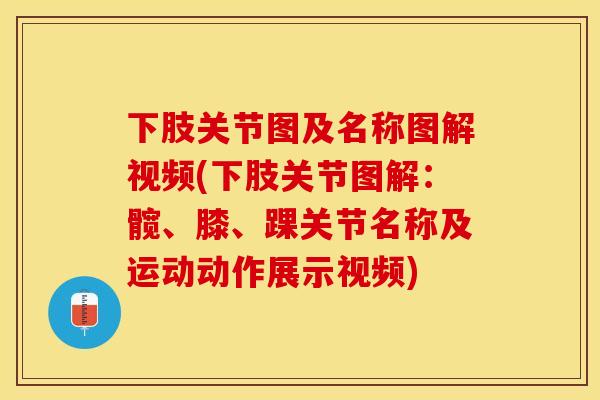 下肢关节图及名称图解视频(下肢关节图解：髋、膝、踝关节名称及运动动作展示视频)