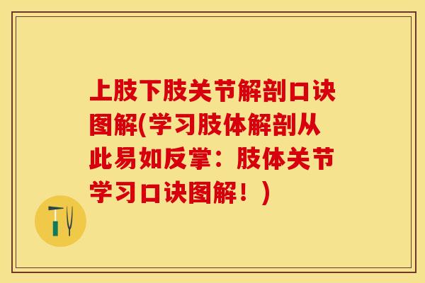 上肢下肢关节解剖口诀图解(学习肢体解剖从此易如反掌：肢体关节学习口诀图解！)