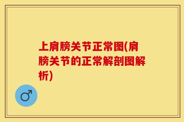 上肩膀关节正常图(肩膀关节的正常解剖图解析)