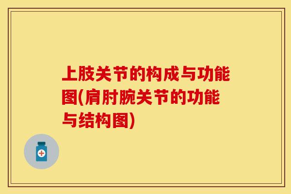 上肢关节的构成与功能图(肩肘腕关节的功能与结构图)