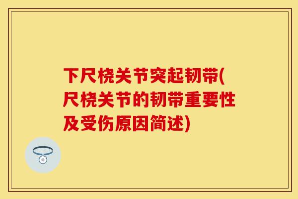 下尺桡关节突起韧带(尺桡关节的韧带重要性及受伤原因简述)