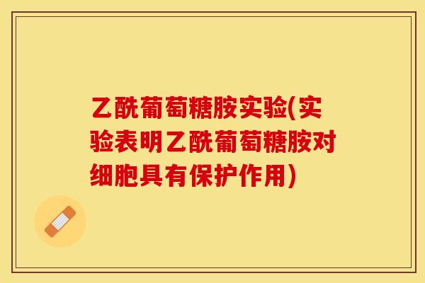 乙酰葡萄糖胺实验(实验表明乙酰葡萄糖胺对细胞具有保护作用)