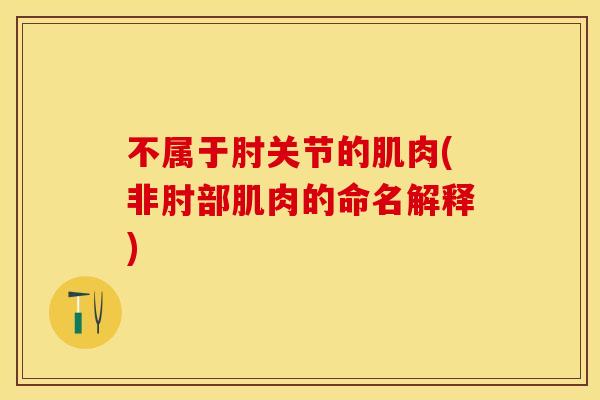 不属于肘关节的肌肉(非肘部肌肉的命名解释)