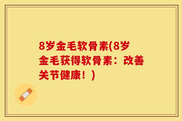 8岁金毛软骨素(8岁金毛获得软骨素：改善关节健康！)