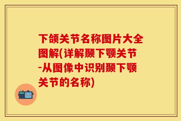下颌关节名称图片大全图解(详解颞下颚关节-从图像中识别颞下颚关节的名称)