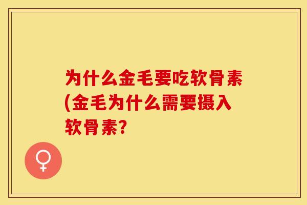 为什么金毛要吃软骨素(金毛为什么需要摄入软骨素？