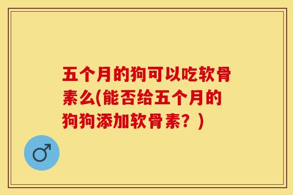 五个月的狗可以吃软骨素么(能否给五个月的狗狗添加软骨素？)