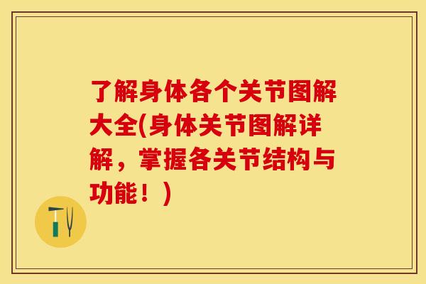 了解身体各个关节图解大全(身体关节图解详解，掌握各关节结构与功能！)