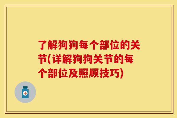 了解狗狗每个部位的关节(详解狗狗关节的每个部位及照顾技巧)