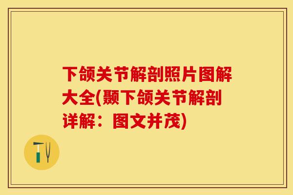 下颌关节解剖照片图解大全(颞下颌关节解剖详解:图文并茂)-第1张图片-关节保镖 下颌关节解剖照片图解大全(颞下颌关节解剖详解:图文并茂)-第1张图片-关节保镖