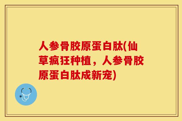 人参骨胶原蛋白肽(仙草疯狂种植，人参骨胶原蛋白肽成新宠)