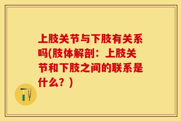 上肢关节与下肢有关系吗(肢体解剖：上肢关节和下肢之间的联系是什么？)-第1张图片-关节保镖