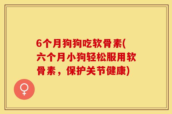 6个月狗狗吃软骨素(六个月小狗轻松服用软骨素，保护关节健康)