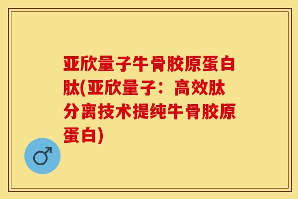 亚欣量子牛骨胶原蛋白肽(亚欣量子：高效肽分离技术提纯牛骨胶原蛋白)