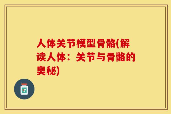 人体关节模型骨骼(解读人体：关节与骨骼的奥秘)