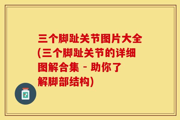 三个脚趾关节图片大全(三个脚趾关节的详细图解合集 - 助你了解脚部结构)