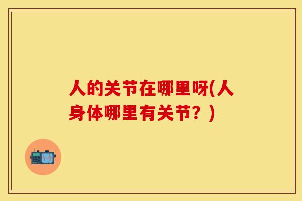人的关节在哪里呀(人身体哪里有关节？)