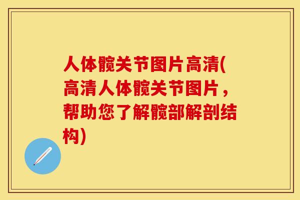 人体髋关节图片高清(高清人体髋关节图片，帮助您了解髋部解剖结构)