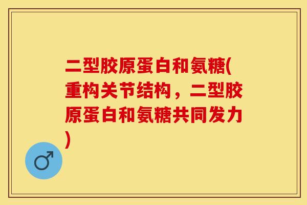二型胶原蛋白和氨糖(重构关节结构，二型胶原蛋白和氨糖共同发力)-第1张图片-关节保镖