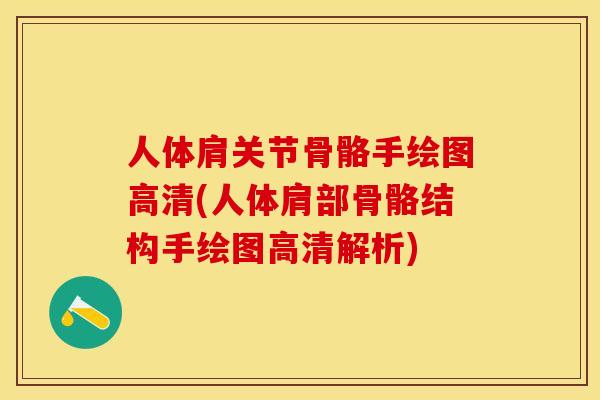 人体肩关节骨骼手绘图高清(人体肩部骨骼结构手绘图高清解析)